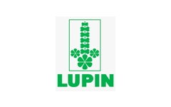 Lupin