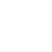 Fast & Ontime Delivery