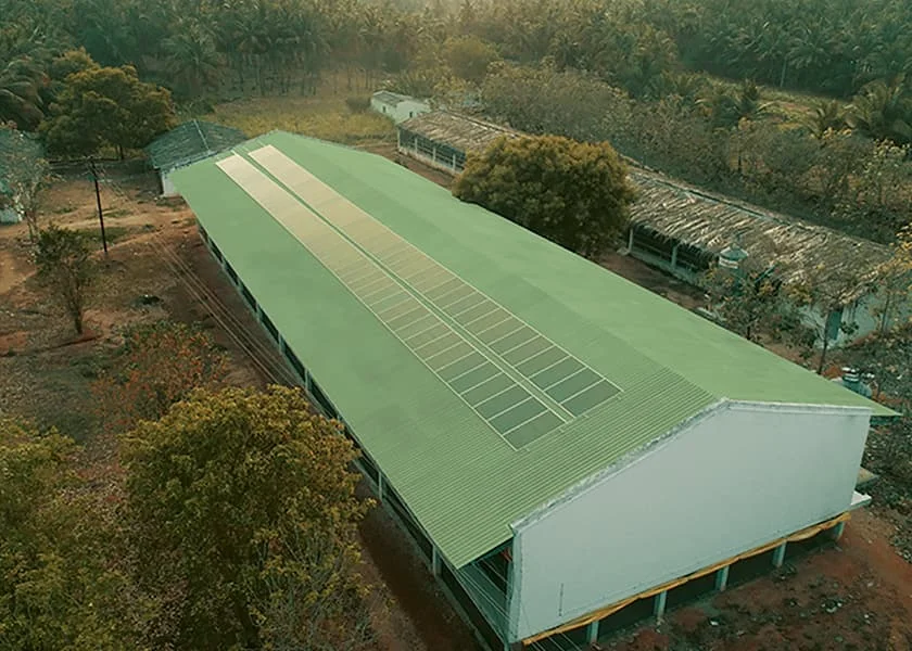 Commercial Poultry Farm in Tamil Nadu - Aspirational Everest - Everest Industries Ltd.