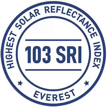 SRI Patch